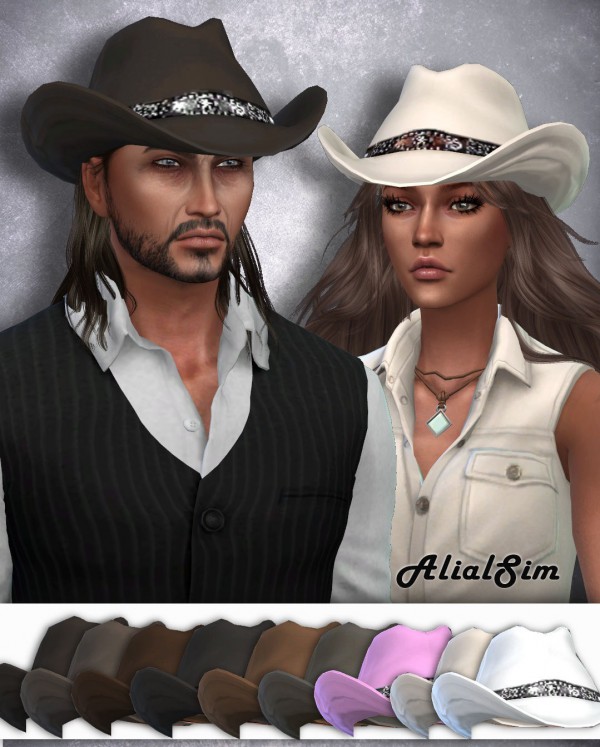  Alial Sim: Lower Cowboy Hat