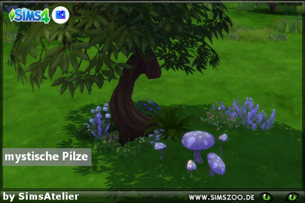  Blackys Sims 4 Zoo: Mystic mushrooms by SimsAtelier
