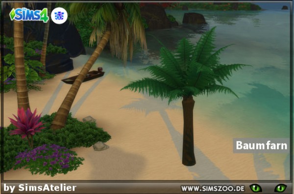  Blackys Sims 4 Zoo: Tree fern by SimsAtelier
