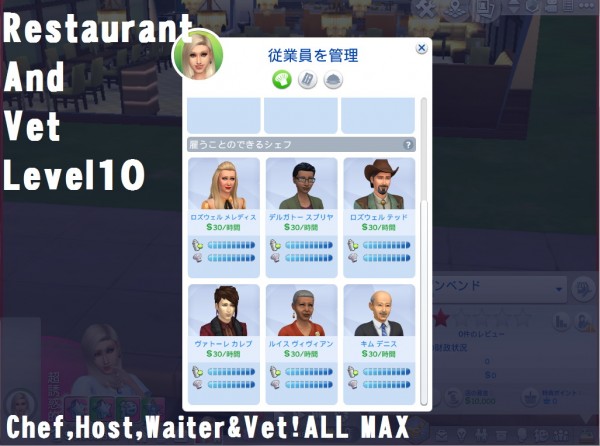  Mod The Sims: Restaurant And Vet Level10 by kou
