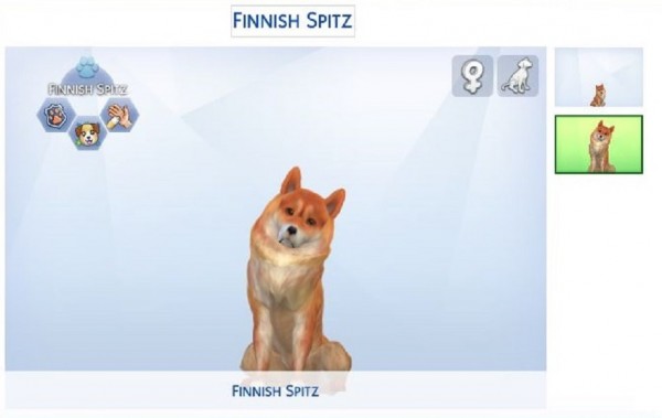  Mod The Sims: Finnish Spitz by ScientificallyCorrect82