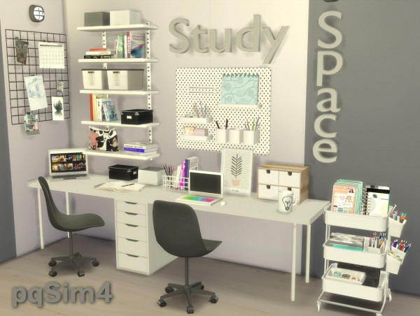  PQSims4: Study Space