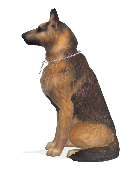  Enchanting Essence: Bruce the German Shepherd dog