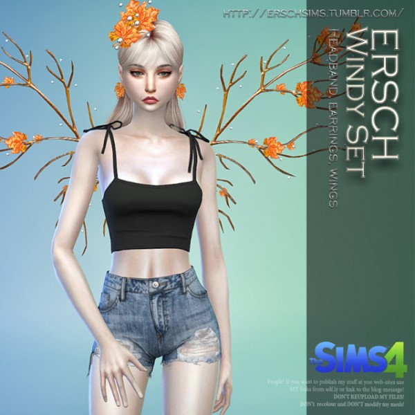  ErSch Sims: Windy Set