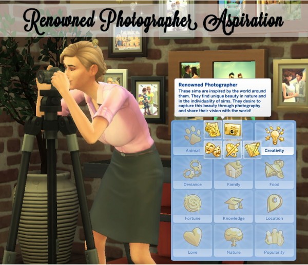  Mod The Sims: Renowned Photographer Aspiration by xbrettface