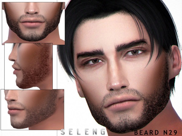  The Sims Resource: Beard N29 by Seleng