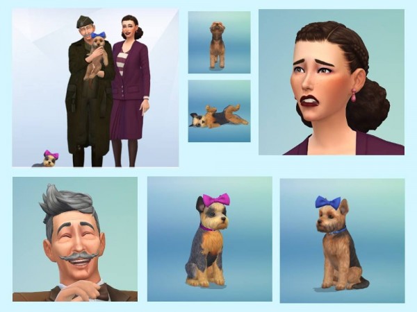  KyriaTs Sims 4 World: The Easterbrooks and their Yorkies