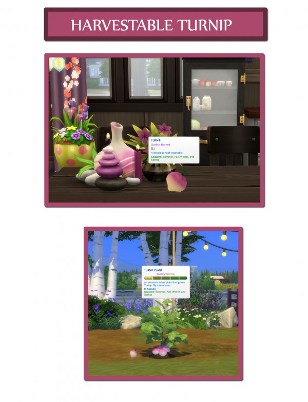  Mod The Sims: Harvestable Turnip by icemunmun