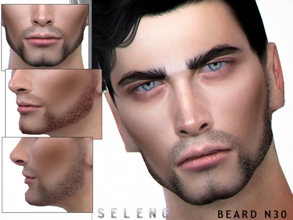  The Sims Resource: Beard N30 by Seleng