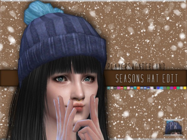  Players Wonderland: Seasons Hat Edited