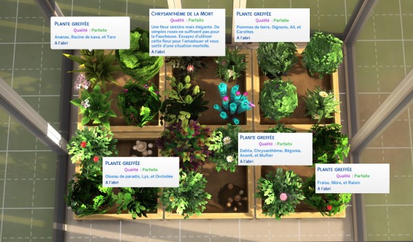  Luniversims: Perfect Grafters Plants by  olideg