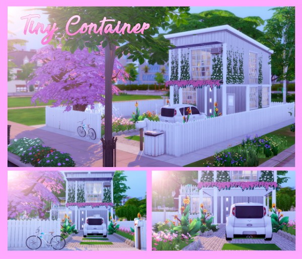 Liily Sims Desing: Tiny Container (No CC)