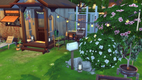  Studio Sims Creation: Ouistiti House