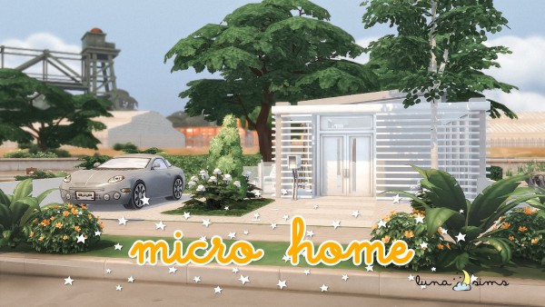  Luna Sims: Micro Home