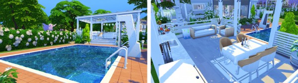  Aveline Sims: Shell Build Challenge