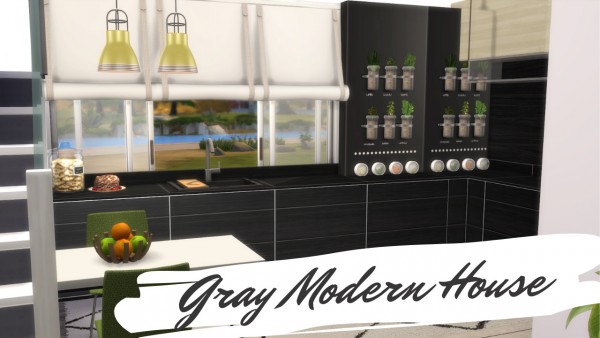  Dinha Gamer: Gray Modern House