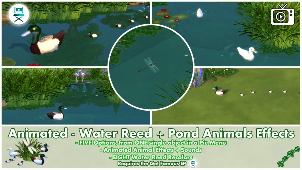 Mod The Sims: Animated   Water Reed + Pond Animals Effects by Bakie