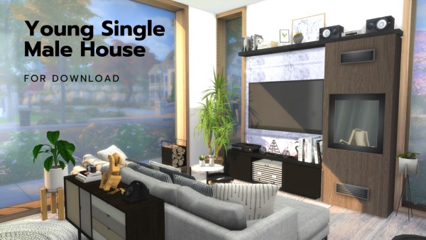  Dinha Gamer: Single Young Male House