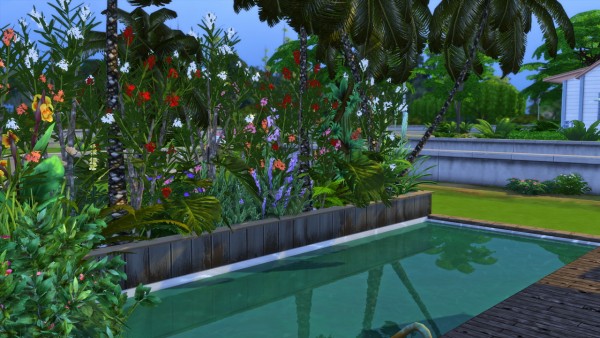  Models Sims 4: Boho Pool