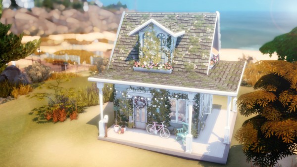  Gravy Sims: Tiny Beach House
