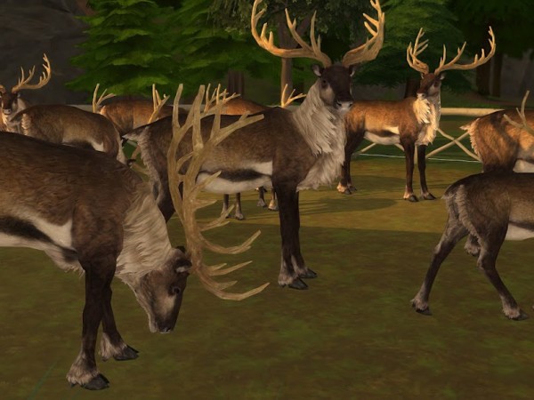  KyriaTs Sims 4 World: Lavvu Issat
