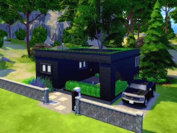  The Sims Resource: Atylla  Black eco Windenburg starter by GenkaiHaretsu