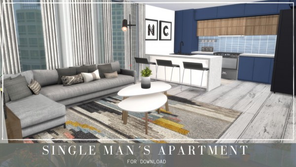  Dinha Gamer: Single Mans Apartment