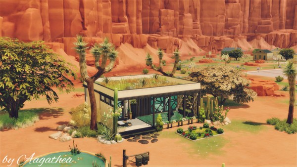  Agathea k: Mini Modern on Desert