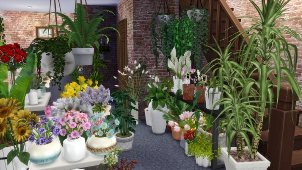  Models Sims 4: Florist Shop