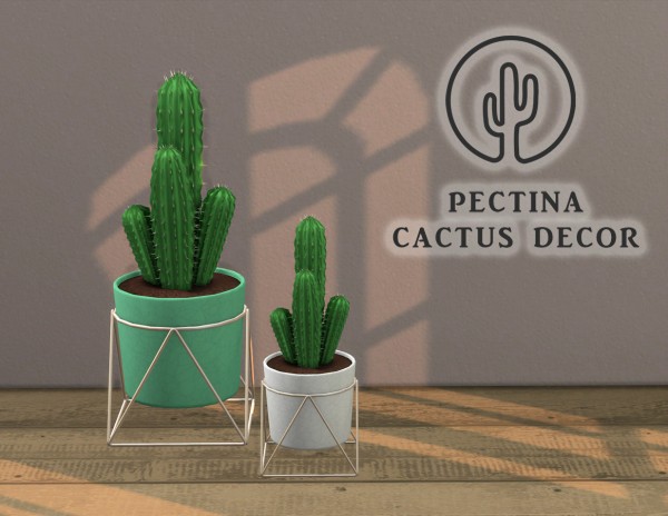  Leo 4 Sims: Pectina cactus decor