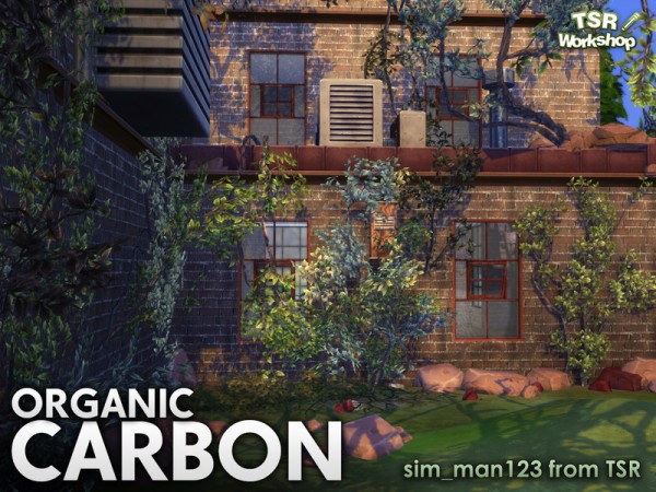  The Sims Resource: Organic Carbon by sim man123