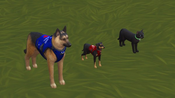 Mod The Sims Service Animal Accessories By Oakstar519 Sims 4 Downloads