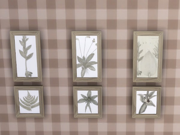 KyriaTs Sims 4 World: Small botanical drawings on the wall