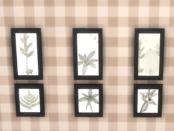 KyriaTs Sims 4 World: Small botanical drawings on the wall