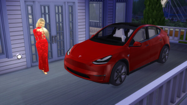 Lory Sims: Tesla Model Y