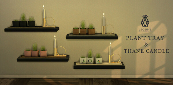 Leo 4 Sims: Plants Tray and Candles