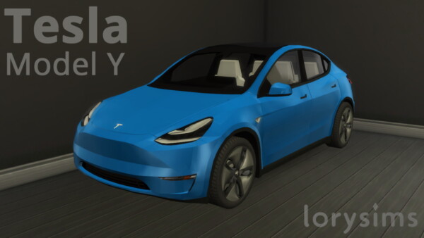 Lory Sims: Tesla Model Y