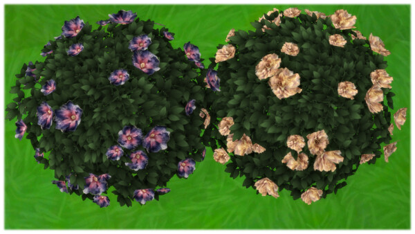 Mod The Sims: Dinner Plate Hibiscus Bush   30 Different Flowers by Wykkyd