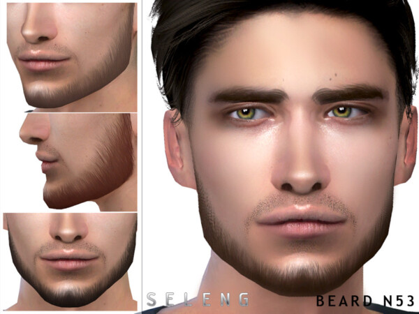 The Sims Resource: Beard N53 by Seleng