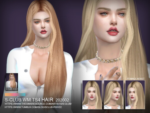 The Sims Resource: WM Hair 202002 by  S Club