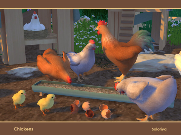 Chickens by soloriya from TSR