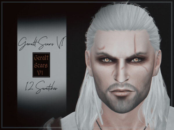 Geralt Scars V1 by Reevaly from TSR