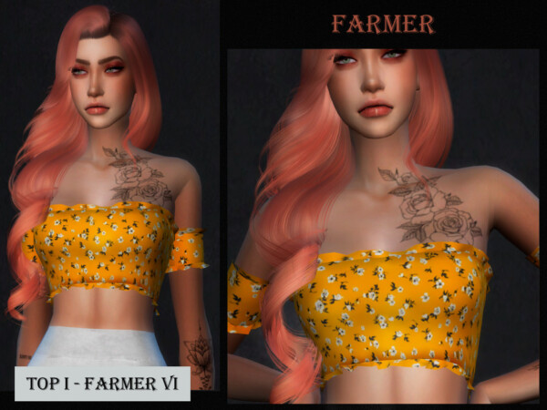 Top I Farmer VI by Viy Sims from TSR