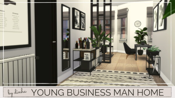 Young business man home from Dinha Gamer