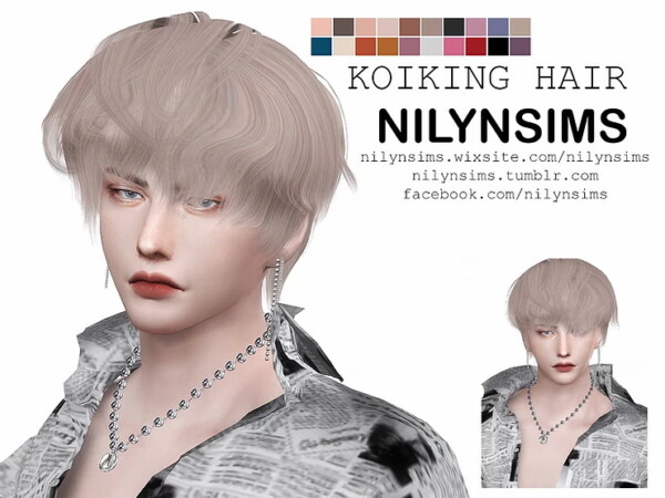 Koiking Hairstyle from Nilyn Sims 4
