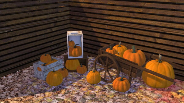 Pumpkin Patch Decor from Sunkissedlilacs