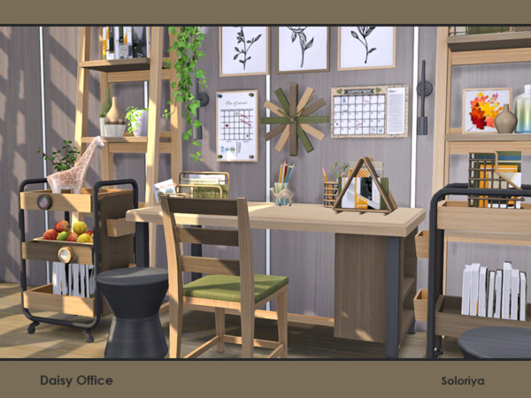 Daisy Office by soloriya from TSR
