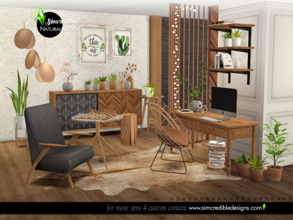 Naturalis Office by SIMcredible! from TSR