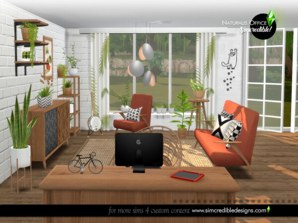 Naturalis Office by SIMcredible! from TSR