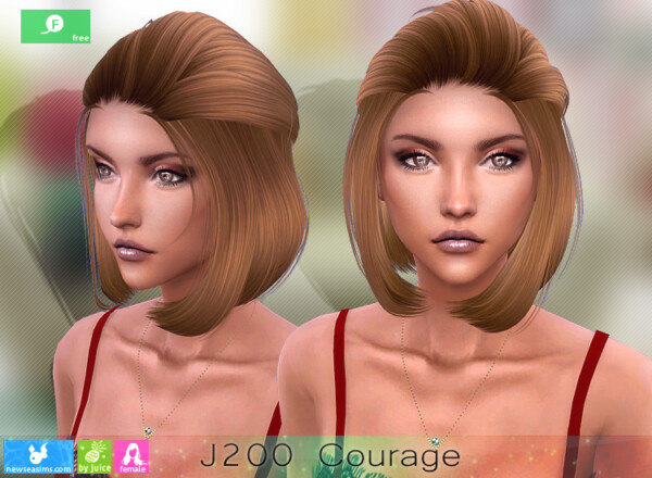J200 Courage Hair from NewSea